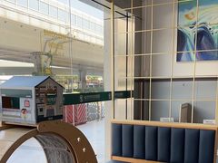 -伟伟宠物医院·瑞派猫友好医院·猫科(光谷店)