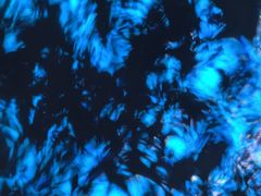 -厦门海港英迪格酒店(中山路店)