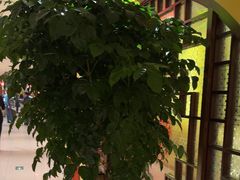 -西贝(六里桥旗舰店)