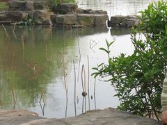 景点-吴江公园