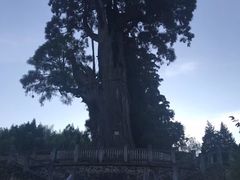 -云中大漈