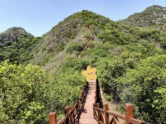 -大岭沟猕猴桃谷风景区