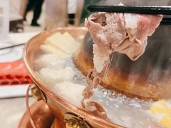 手切鲜羊肉-东来顺饭庄(王府井步行街店)