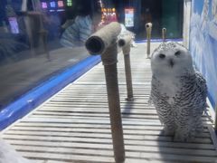 -成都浩海立方海洋公园