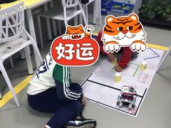 -童程童美·信息学竞赛·机器人编程·少儿编程(太阳宫校区)