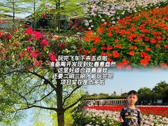 -盈香心动乐园