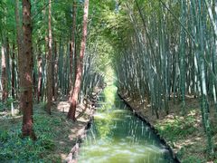 -同里国家湿地公园