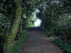 -杭州半山国家森林公园