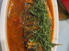 -老字号怡玺·藿香雅鱼(20年雅安店)