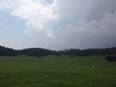 李家羊肉村(武隆县店)-李家羊肉村(武隆区店)