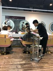 -杉影印象日式烫染專門店
