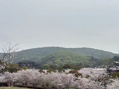 -三国水浒景区(无锡影视基地)