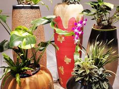 -西湖春天•老字号杭州菜(百汇店)