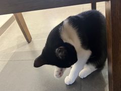 -原田新料理(1912店)