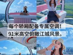 -海合安武汉极地海洋公园