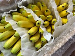 -深圳市海吉星国际农产品物流管理有限公司