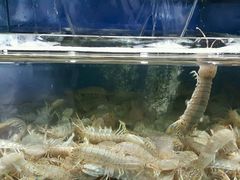 -海味当家·蒸锅海鲜(中山广场创始店)