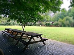 -南宁良凤江国家森林公园