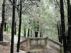 -北京鹫峰国家森林公园