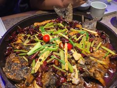 -老板恋上鱼(恒隆广场店)