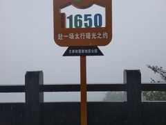 -王莽岭风景区