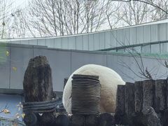 -青藏高原野生动物园