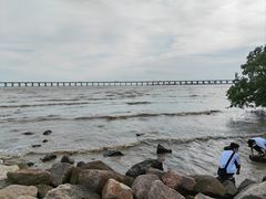 -宝安西湾红树林湿地公园