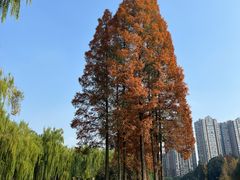 -温江公园