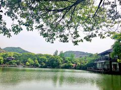 -白马涧龙池景区