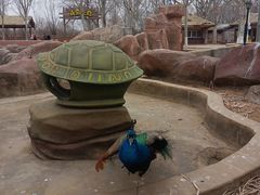-北戴河集发农业梦想王国