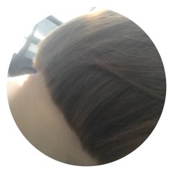 短发-唐美
