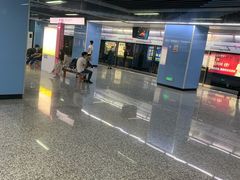 -大龙山(地铁站)