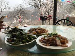 -南窖乡水峪村山情农家