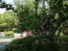 -经纬·泓汇地标家园