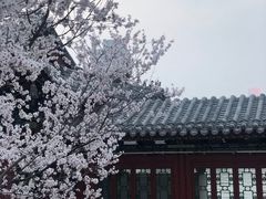 -迎泽公园
