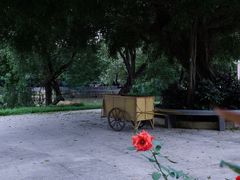 -人民公园(罗湖区)