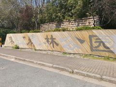 -上海滨江森林公园