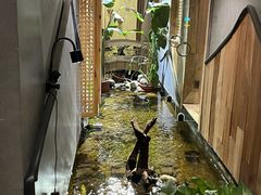 -邈墨茶馆(凤起路店)