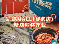 -凯德MALL(望京店)
