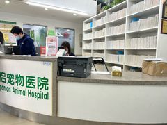 -爱侣宠医·鹦鹉专科·小型哺乳类·异宠专科(灵石路店)