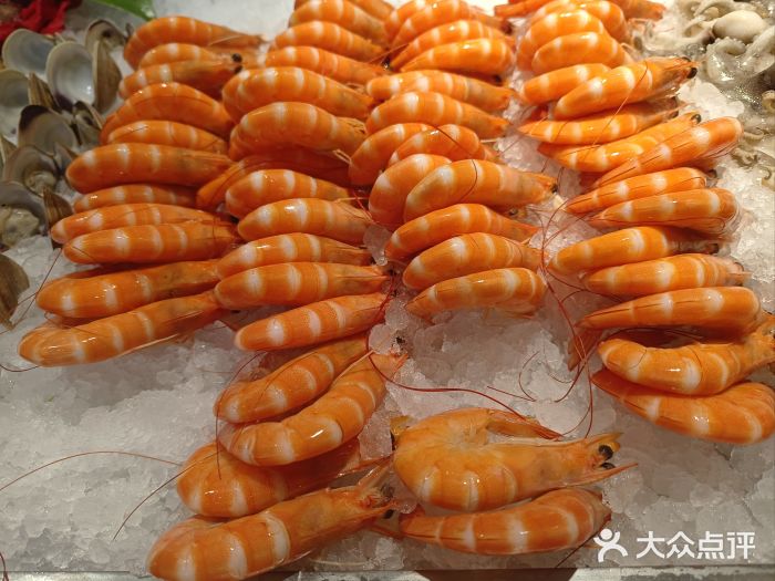 明月东一酒店·菲斯特自助餐厅图片