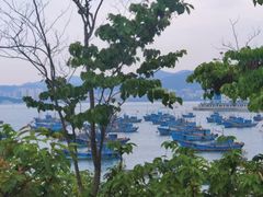 -海源公园