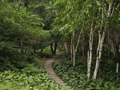 -长春市南湖公园