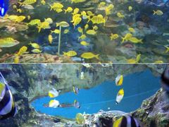 -海合安成都极地海洋公园