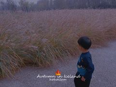 -汉长安城未央宫国家考古遗址公园