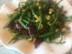 炝炒黄瓜苗-文三里屯面馆(三里屯店)