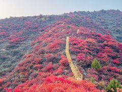 -水峪民俗村