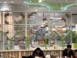 -meland亲子乐园•派对•研学(苏州悠方购物中心店)