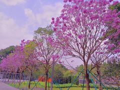 -广州文化公园