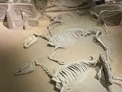 -洛阳周王城天子驾六博物馆